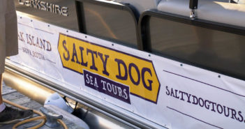 Salty Dog
