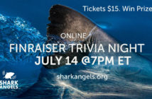 Shark Angels Trivia Night