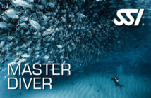SSI Master Diver