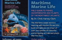 Maritime Marine Life