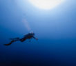 Diver Underwater